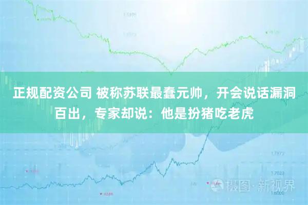 正规配资公司 被称苏联最蠢元帅，开会说话漏洞百出，专家却说：他是扮猪吃老虎