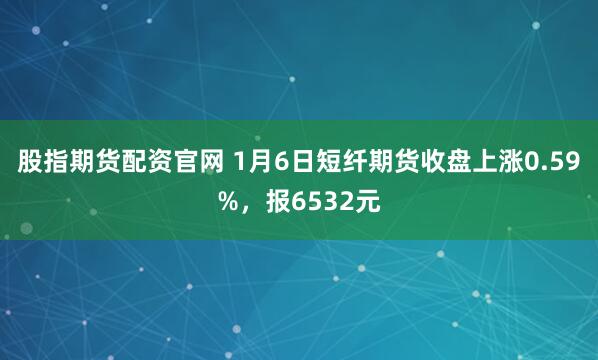 股指期货配资官网 1月6日短纤期货收盘上涨0.59%，报6532元